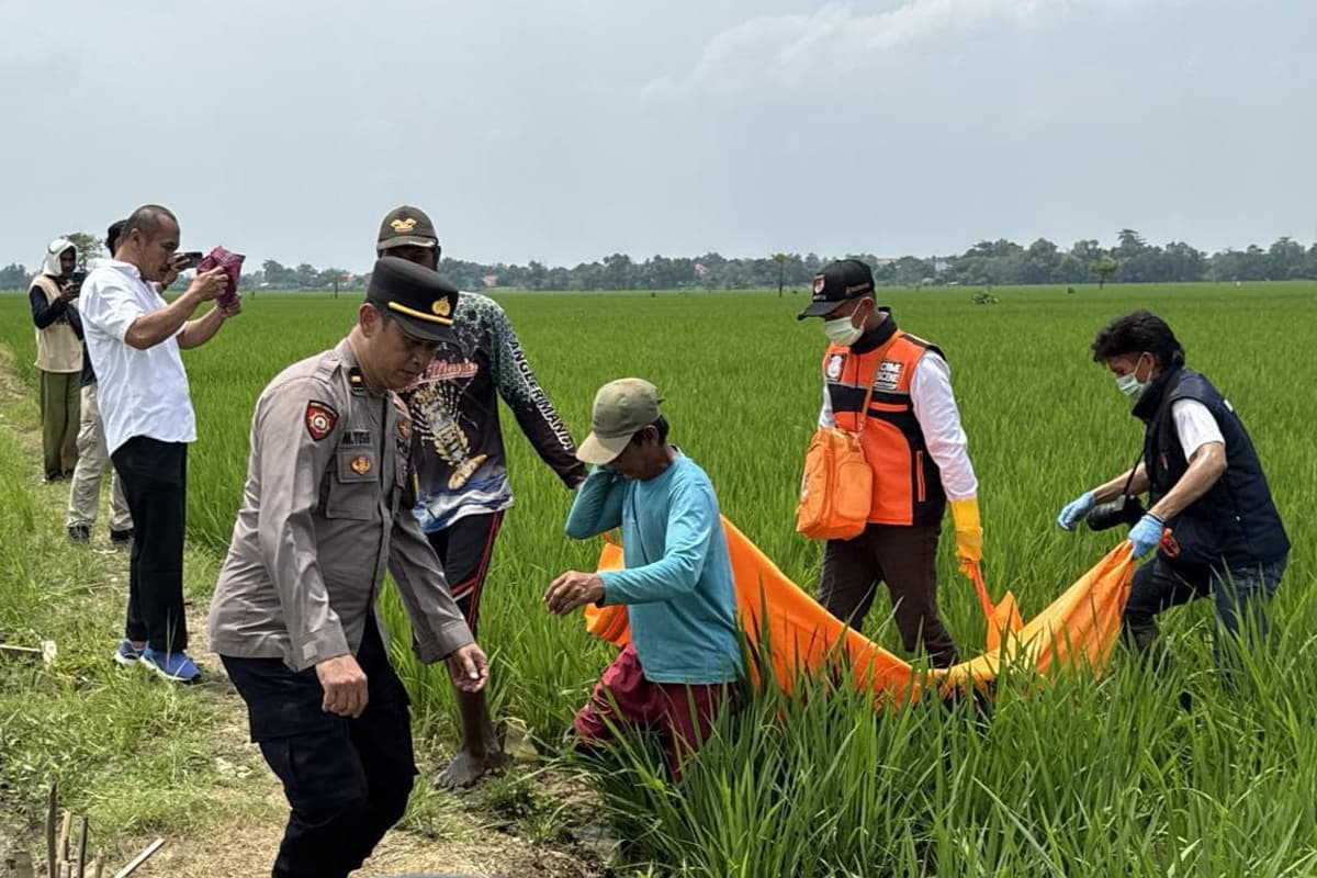 Penyebab Kematian Jasad Membusuk di Sawah Majalengka Masih Misterius